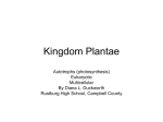 Kingdom Plantae - Smyth County Schools