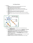 Unit 3 Biology of Behavior The Neuron Dendrites: Tree