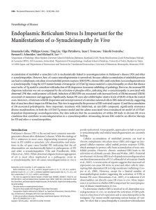Endoplasmic Reticulum Stress Is Important for the Manifestations ofα