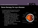 Gene Therapy for Eye Disease