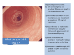 absorption of glucose in the ileum