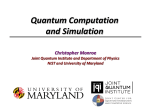 quantum simulator - Trapped Ion Quantum Information