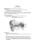 basic ear information