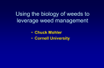 Using the Biology of Weeds to Leverage Weed Management