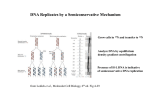 Nature Rev.Mol.Cell Biol. 6