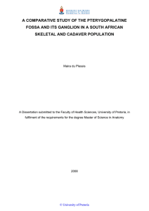 a comparative study of the pterygopalatine fossa and its ganglion in
