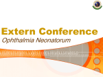 Externconference26-04