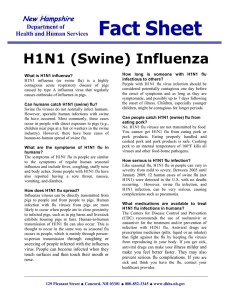 H1N1 Influenza Fact Sheet