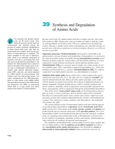 39 Synthesis and Degradation of Amino Acids