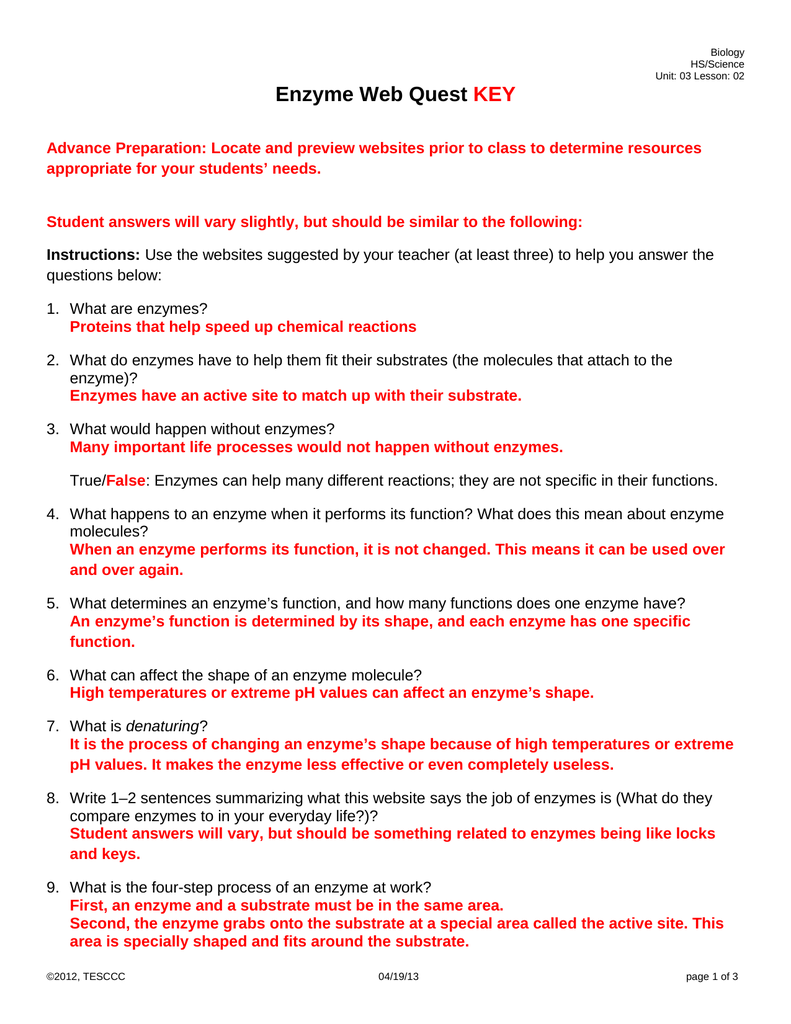 Restriction Enzymes Worksheet Answers - Promotiontablecovers In Enzymes Worksheet Answer Key