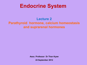 L 2 parathyroid and calcium homeostasis 25th september 2012