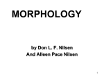 morphology_001