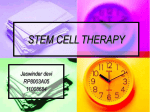 Stem cells are