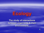 ecology powerpoint