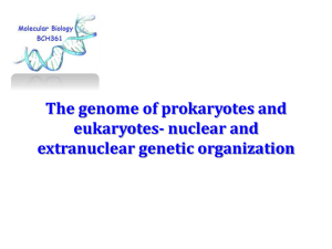 The genome of prokaryotes and eukaryotes