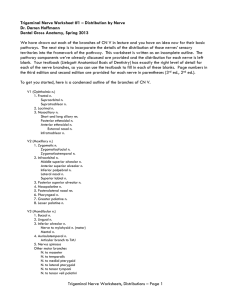 Trigeminal Nerve Worksheet #1