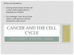 Cancer and the cell cycle