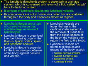 Lymph nodes