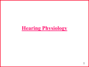 Hearing Physiology