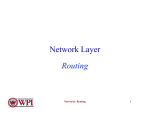 Network Layer Routing