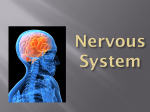 Nervous System - Net Start Class