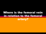 Where is the femoral vein in relation to the femoral artery?