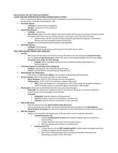 ALS Pathway