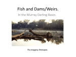 Fish and Dams/Weirs.