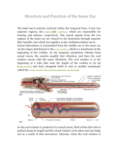 Structure and Function of the Inner Ear