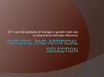 Natural and Artificial Selection