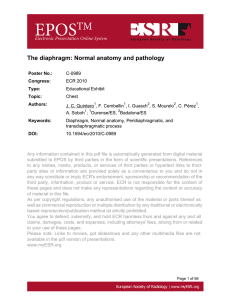 The diaphragm: Normal anatomy and pathology
