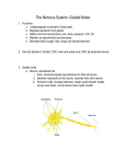 Nervous System Guided Notes