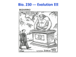 230-Evolution III