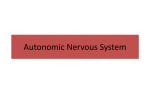 Autonomic Nervous System