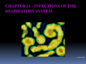 CHAPTER 21 – INFECTIONS OF THE RESPIRATORY SYSTEM