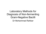 Laboratory Methods for Diagnosis of Non0fermenting Gram