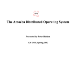 The Amoeba Distributed Operating System