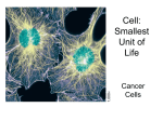 Cell: Smallest Unit of Life