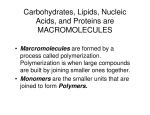 Carbohydrates, Lipids, Nucleic Acids, and Proteins are