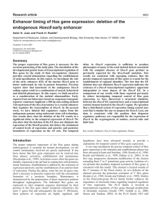 Enhancer timing of Hox gene expression: deletion of