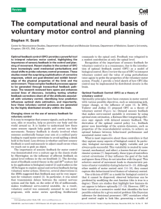 The computational and neural basis of voluntary motor control and