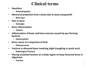 How many bones? - My Anatomy Mentor