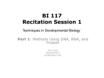BI117 Recitation Session 1