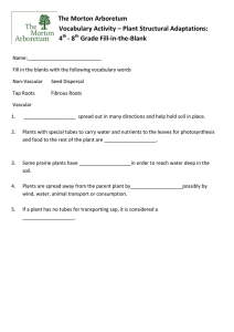 Plant Structural Adaptations