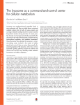 The lysosome as a command-and-control center for cellular