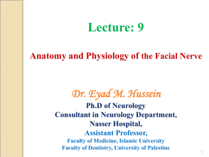 Facial Nerve - Lightweight OCW University of Palestine