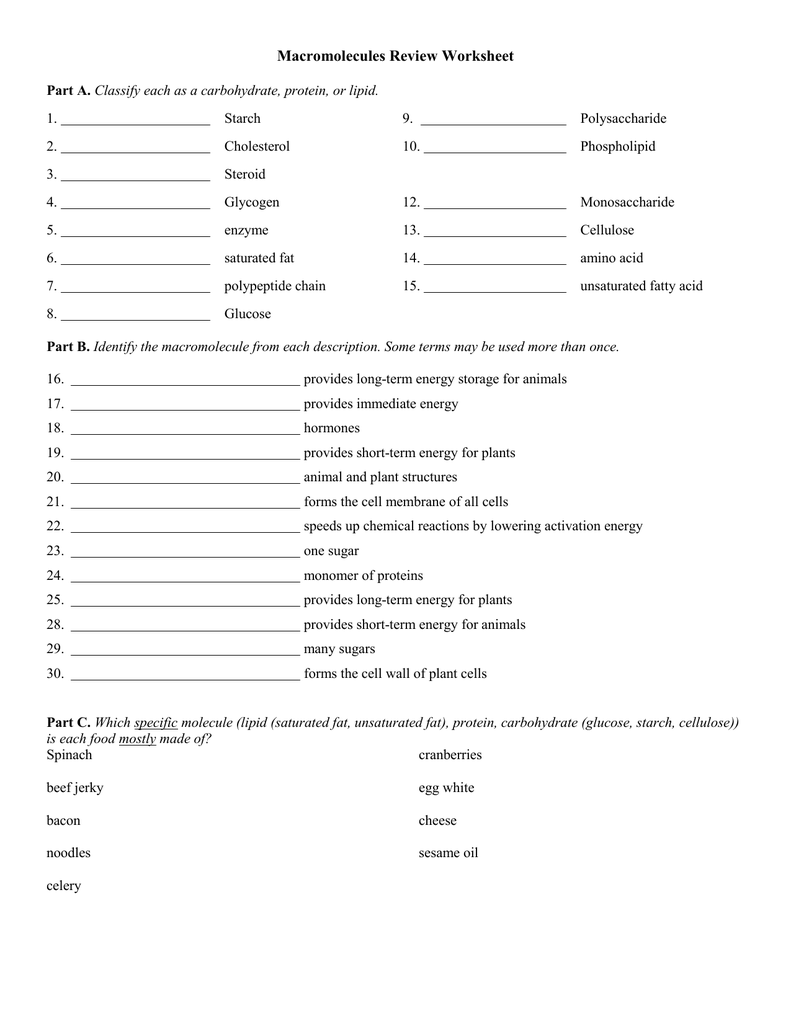 Macromolecules Review worksheet Inside Macromolecules Worksheet 2 Answers