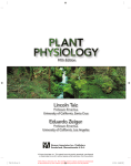 Plant Physiology, Fifth Edition