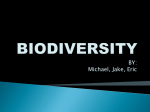 biodiversity - WordPress.com