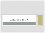 3 - Cell Division (1)